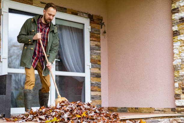 Yard Cleanup Services in Moonachie, NJ